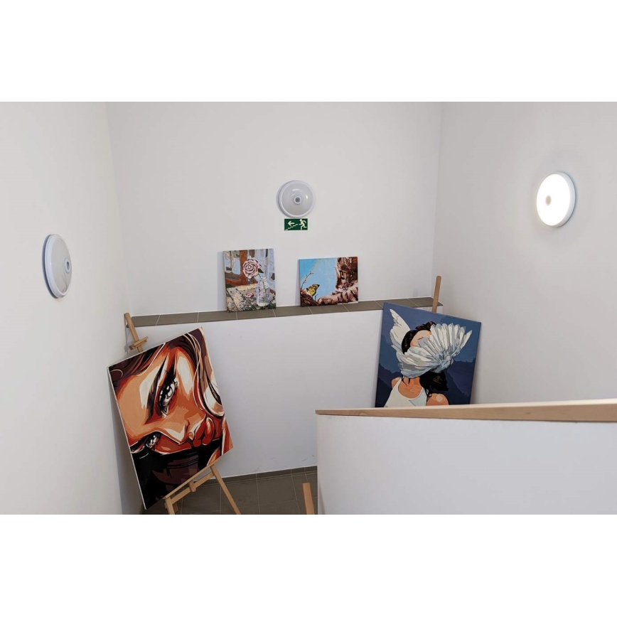 LED стельовий світильник з датчиком руху та сутінків LED/20W/230V Ø 29 см білий