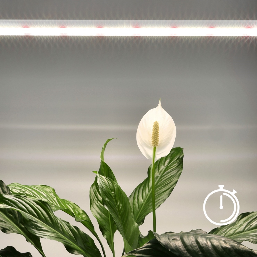 LED Світильник для підсвітки стільниці для вирощування рослин GROWLY LED/15W/230W