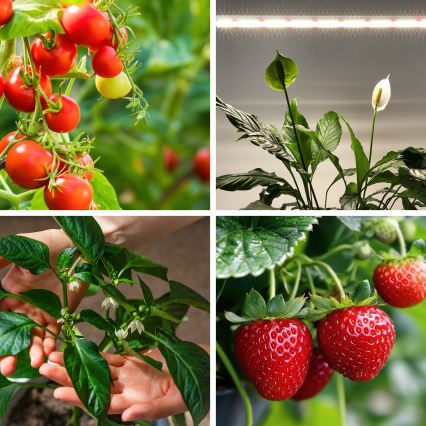 LED Світильник для підсвітки стільниці для вирощування рослин GROWLY LED/15W/230W