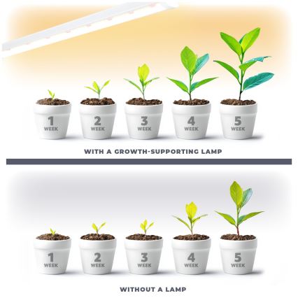 LED Світильник для підсвітки стільниці для вирощування рослин GROWLY LED/15W/230W