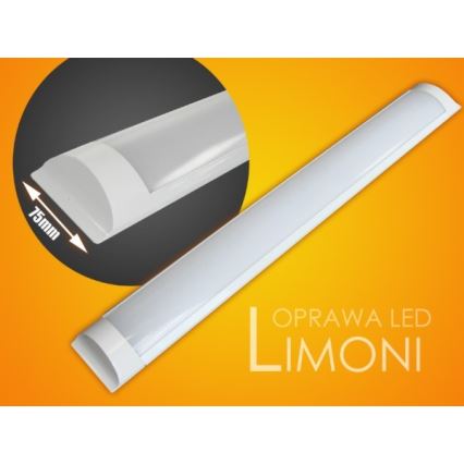 LED Світильник для підсвітки стільниці LIMONI LED/40W/230V 3000K 120 см