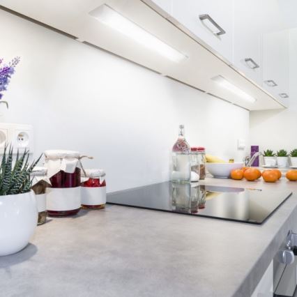 LED світильник для підсвітки стільниці VIGA LED/35W/230V 3000K білий