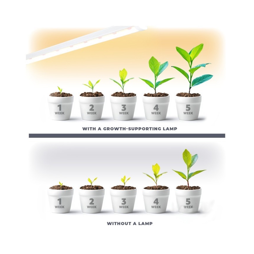 Світильник LED для підсвічування рослин GROWLY LED/9W/230V білий