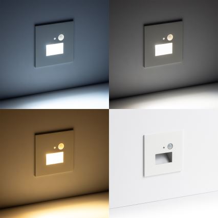 LED сходовий світильник з датчиком руху та датчиком сутінків LED/1,5W/230V 3000/4000/6000K білий