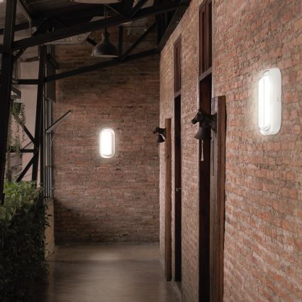 LED Настінний світильник для ванної кімнати PASTILO LED/10W/230V 2700/4000/6000K IK10 IP54 білий овальний