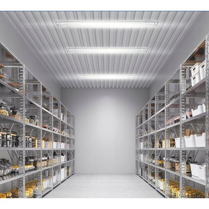 LED технічний світильник T8, 2× G13, 20 Вт, 230 В, 6500 К, 120 см, IP65, білий