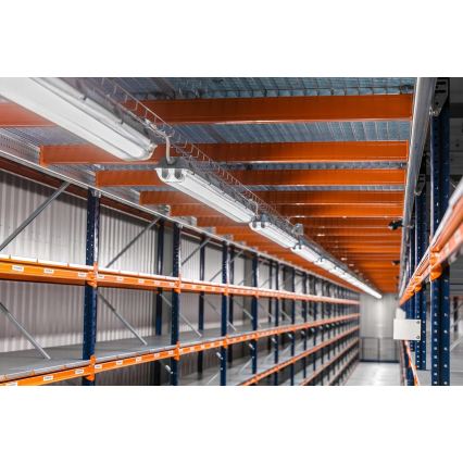 LED технічний світильник T8, 2× G13, 20 Вт, 230 В, 6500 К, 120 см, IP65, білий