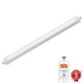 LED технічний світильник з регулюванням яскравості LED/40W/230V 3000-6500K Wi-Fi Tuya IP65