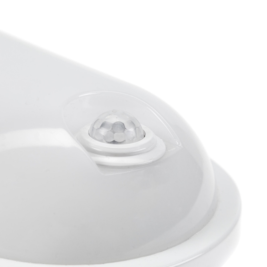 LED Технічний світильник з PIR датчиком LED/20W/230V IP54