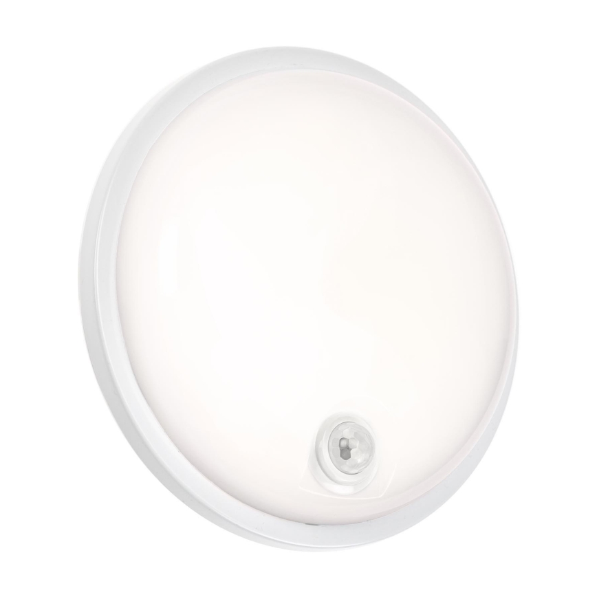 LED Технічний світильник з PIR датчиком LED/20W/230V IP54