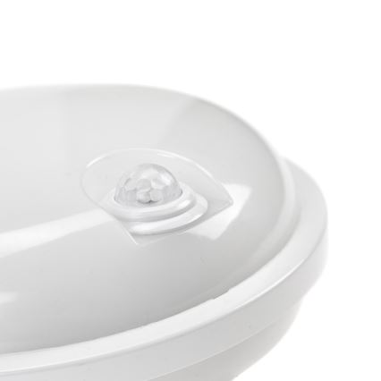 LED Технічний світильник з PIR датчиком LED/20W/230V IP54