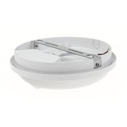 LED Технічний світильник з PIR датчиком LED/20W/230V IP54