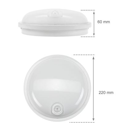 LED Технічний світильник з PIR датчиком LED/20W/230V IP54