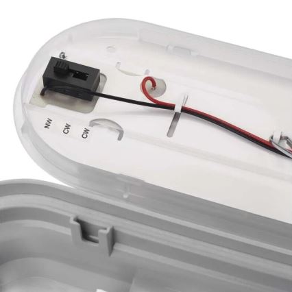 LED Технічний світильник з регулюванням яскравості MISTY LED/10/13/16/18W/230V 4000/6500K IP66