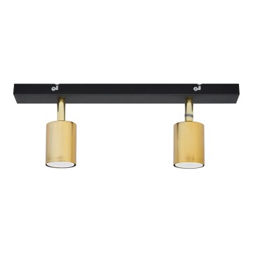 LED Точечный светильник TUNE 2xGU10/4,8W/230V золотой/черный