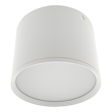 LED точковий світильник LED/10 Вт/230 В 3000/4000/6400 К Ø 12 см білий