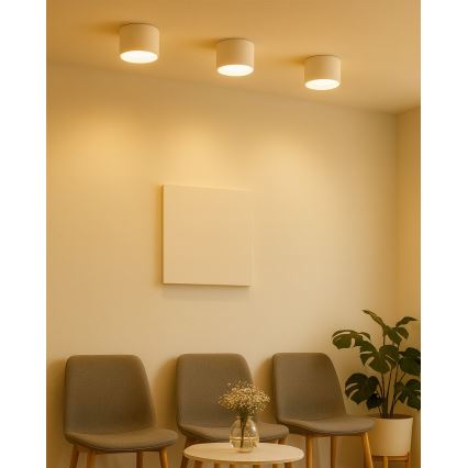 LED точковий світильник LED/10 Вт/230 В 3000/4000/6400 К Ø 12 см білий