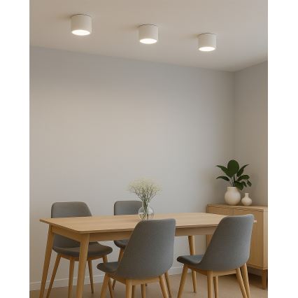 LED точковий світильник LED/10 Вт/230 В 3000/4000/6400 К Ø 12 см білий