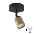 LED точковий світильник TOP 1xGU10/10W/230V золотий/чорний