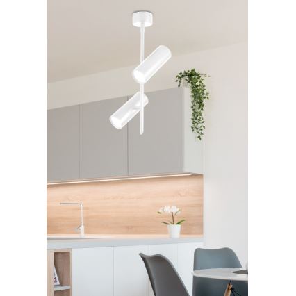 LED Точковий світильник TUBA 2xLED/10W/230V білий