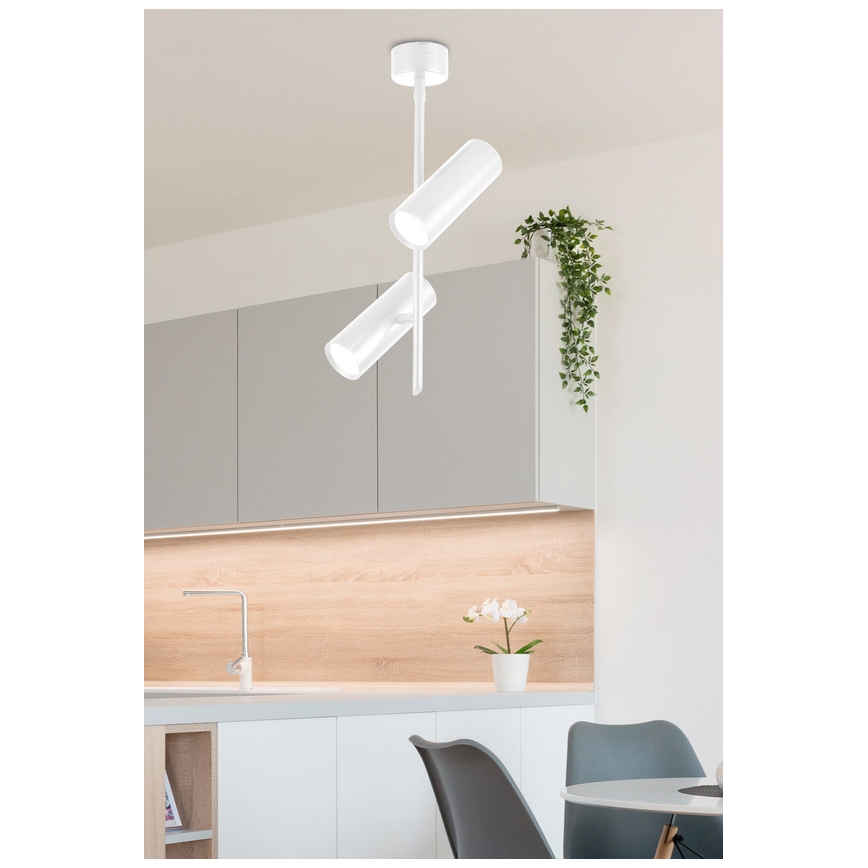 LED Точковий світильник TUBA 2xLED/10W/230V білий