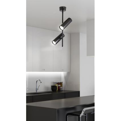 LED Точковий світильник TUBA 2xLED/10W/230V чорний