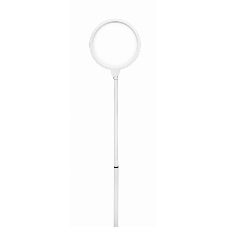 LED Торшер з регулюванням яскравості 2в1 LED/10W/230V білий