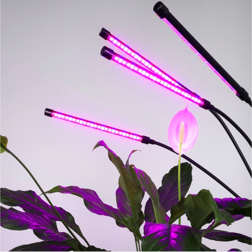 LED Гнучкий торшер для вирощування рослин з регулюванням яскравості VITARO 4xLED/7,5W/230V чорний