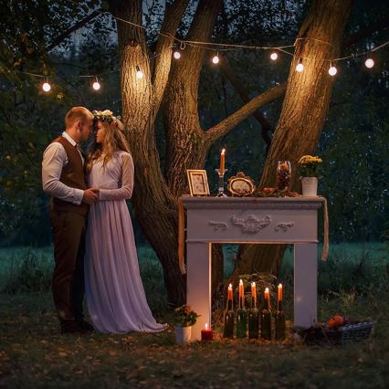 Светодиодная уличная декоративная гирлянда 20xE27/1Вт/230В 10 м IP65 черная