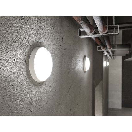 LED Уличный настенный светильник LED/9W/230V IP54 белый