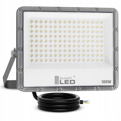 LED уличный прожектор LED/100W/230V 4500K IP65 серый