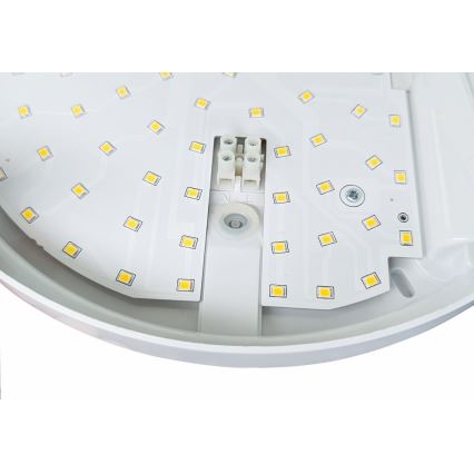 LED Вуличний настінний світильник з датчиком HIBIS LED/15W/230V IP44