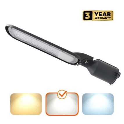 LED вуличний світильник BRELUXO LED/100W/230V 4000K IP65