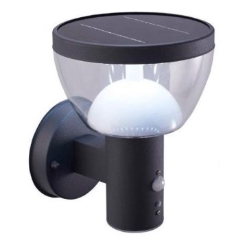 LED Вуличний настінний світильник на сонячній батареї з датчиком LARIX LED/3W/3,7V IP44