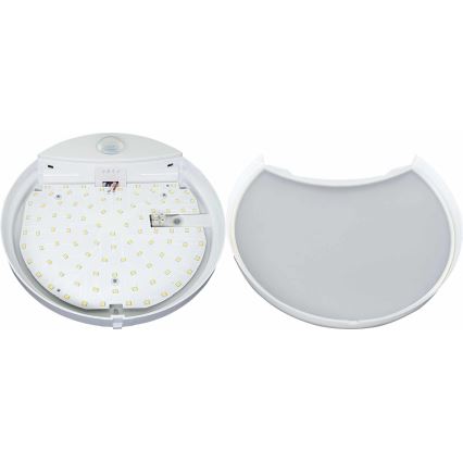 LED Вуличний настінний світильник з датчиком HIBIS LED/15W/230V IP44