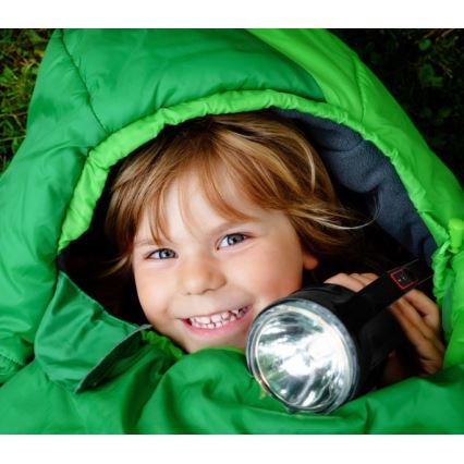 LED заряджуваний ліхтар LED/5V 500 lm 1200 mAh чорний