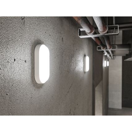 LED зовнішній настінний світильник LED/6Вт/230В IP54 білий