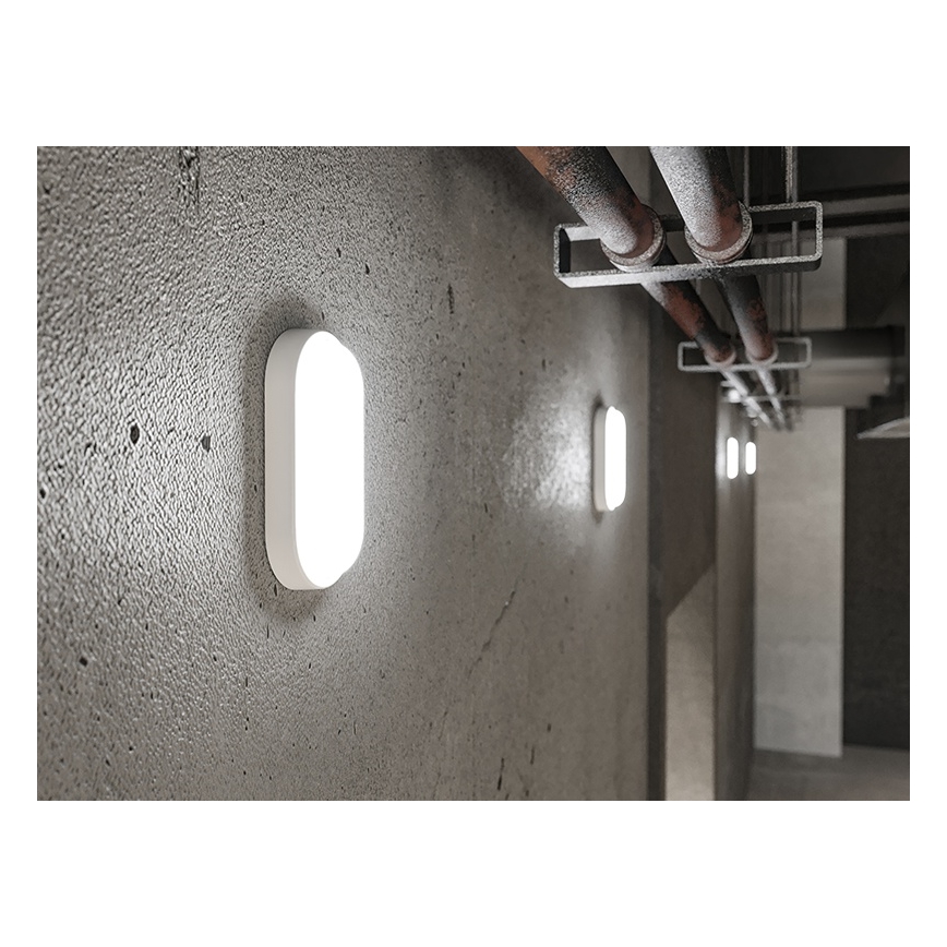 LED зовнішній настінний світильник LED/6Вт/230В IP54 білий