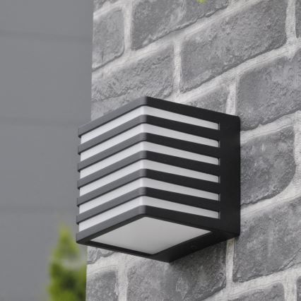 LED Зовнішній настінний світильник MAXWELL LED/10W/230V IP54 антрацит