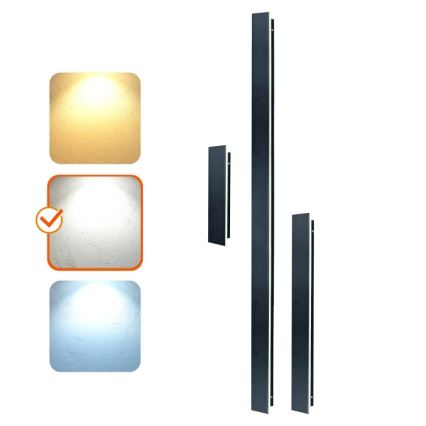 LED зовнішній настінний світильник MIRANA LED/12Вт/230В 4000К IP44 60 см чорний