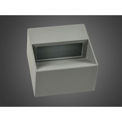 LED Зовнішній настінний світильник NINION LED/2W/230V IP54