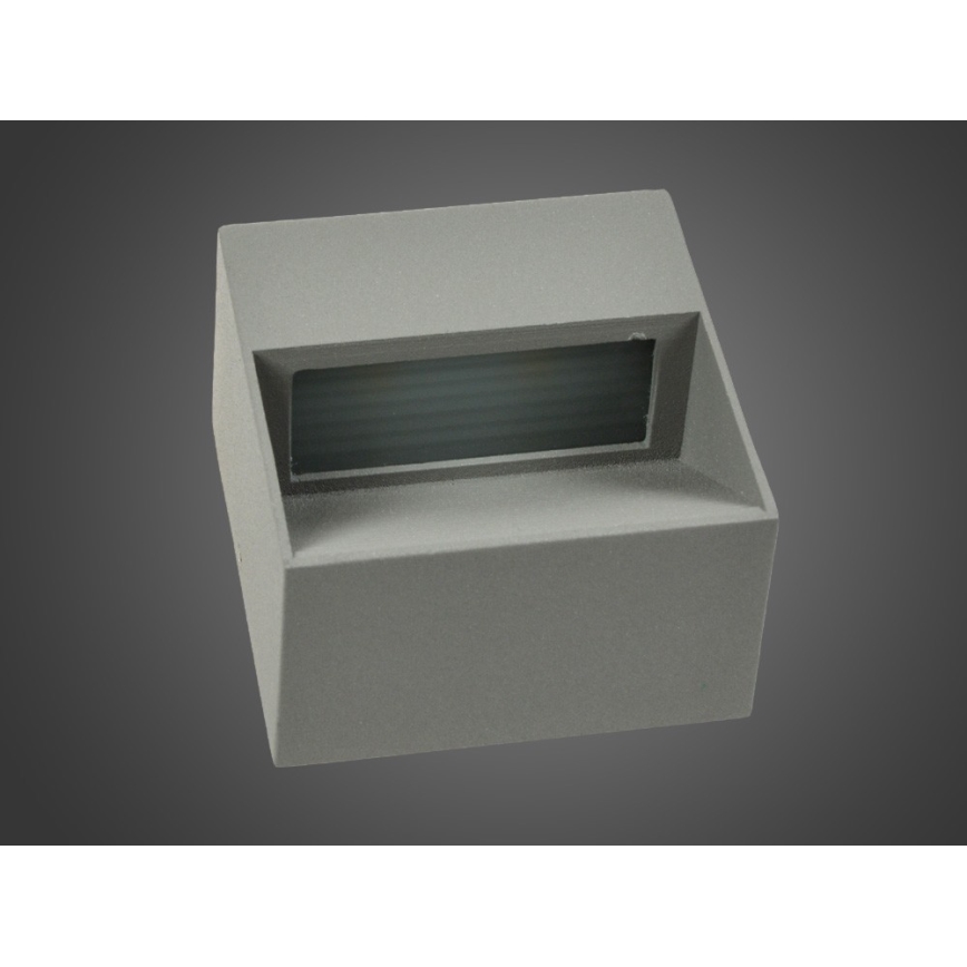 LED Зовнішній настінний світильник NINION LED/2W/230V IP54