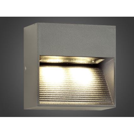 LED Зовнішній настінний світильник NINION LED/2W/230V IP54