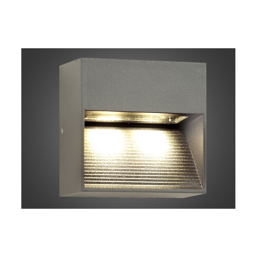LED Зовнішній настінний світильник NINION LED/2W/230V IP54