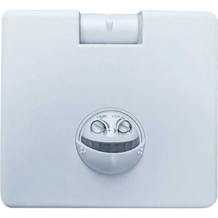 LED Зовнішній прожектор з датчиком FLIP LED/10W/230V IP65