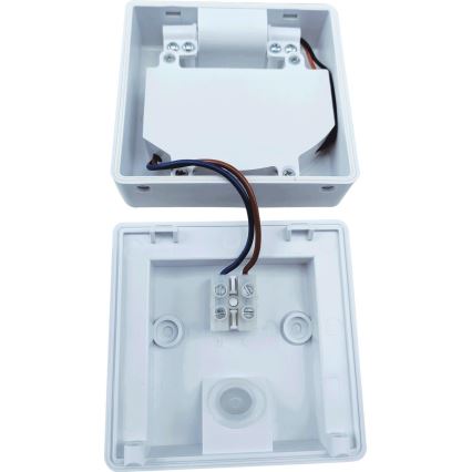 LED Зовнішній прожектор з датчиком FLIP LED/10W/230V IP65