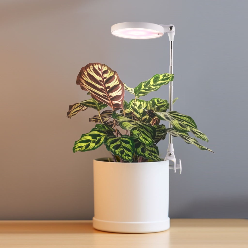 LED Кімнатна лампа для вирощування рослин LED/10W/5V 3200K
