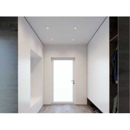 LED2 - LED Точковий вбудований світильник RAY LED/10W/230V білий IP44