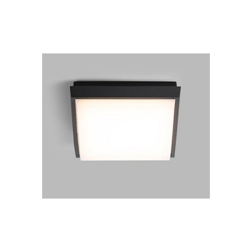 LED2 - LED Вуличний стельовий світильник QUADO LED/10W/230V антрацит IP54