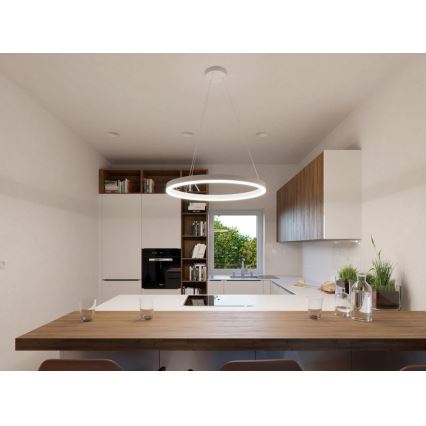 LED2 - Підвісна LED люстра CIRCLE LED/42W/230V